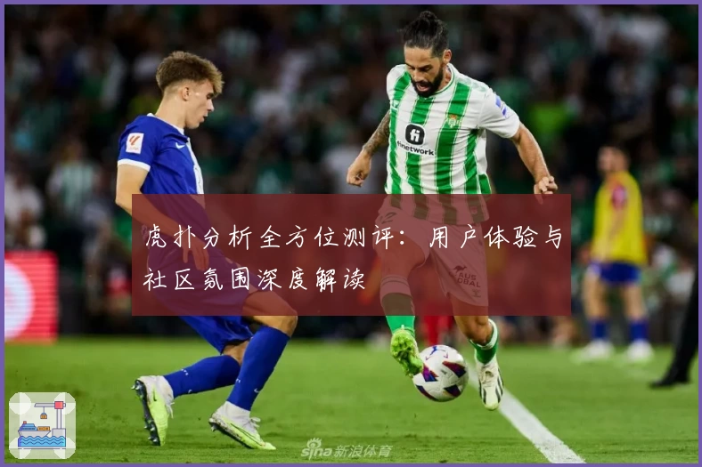虎扑分析全方位测评：用户体验与社区氛围深度解读