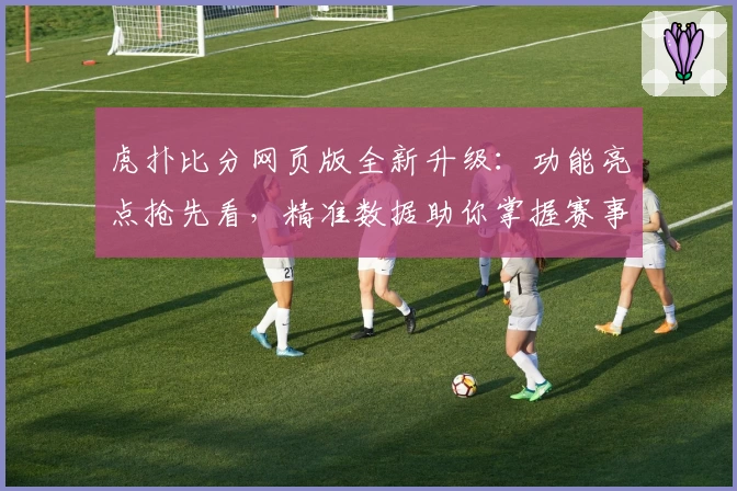 虎扑比分网页版全新升级：功能亮点抢先看，精准数据助你掌握赛事脉动