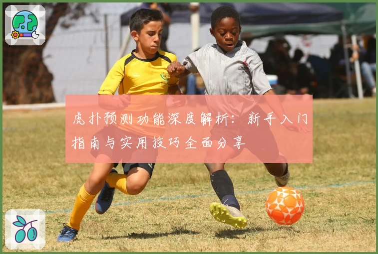 虎扑预测功能深度解析：新手入门指南与实用技巧全面分享
