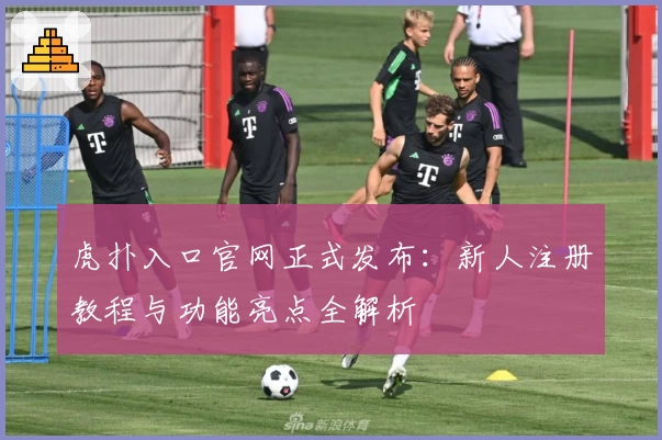 虎扑入口官网正式发布：新人注册教程与功能亮点全解析